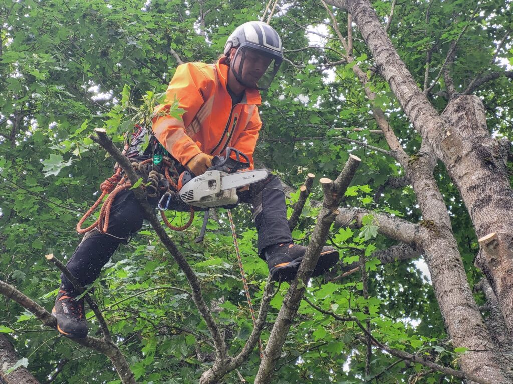 Kontakta Din Arborist Vendelsö AB