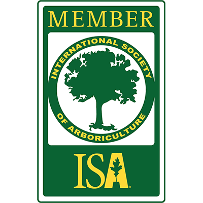 Professionell trädvård av ISA-certifierade arborister - Din Arborist